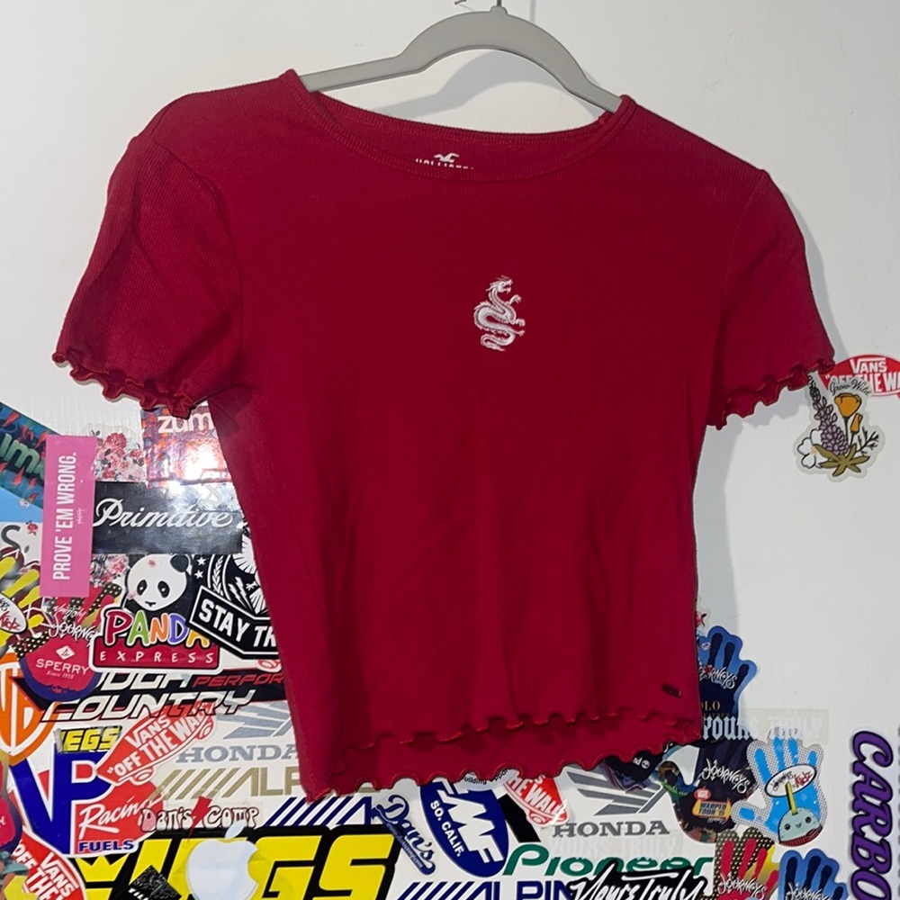 HOLLISTER DRAGON TOP